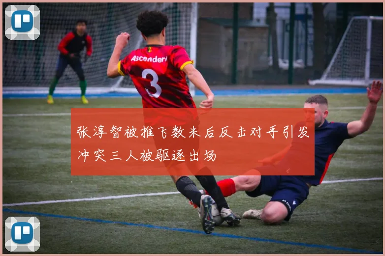 张淳智被推飞数米后反击对手引发冲突三人被驱逐出场