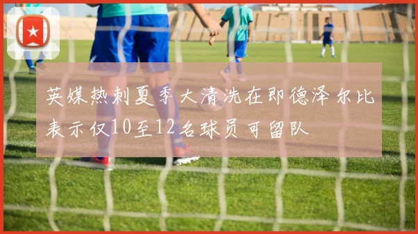 英媒热刺夏季大清洗在即德泽尔比表示仅10至12名球员可留队