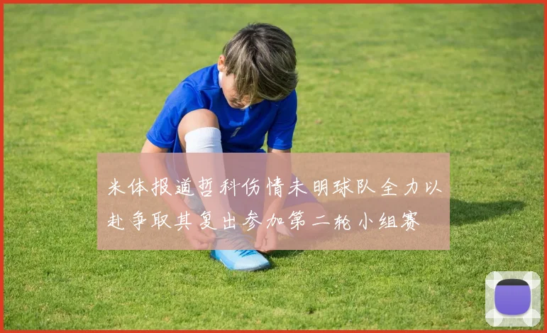 米体报道哲科伤情未明球队全力以赴争取其复出参加第二轮小组赛